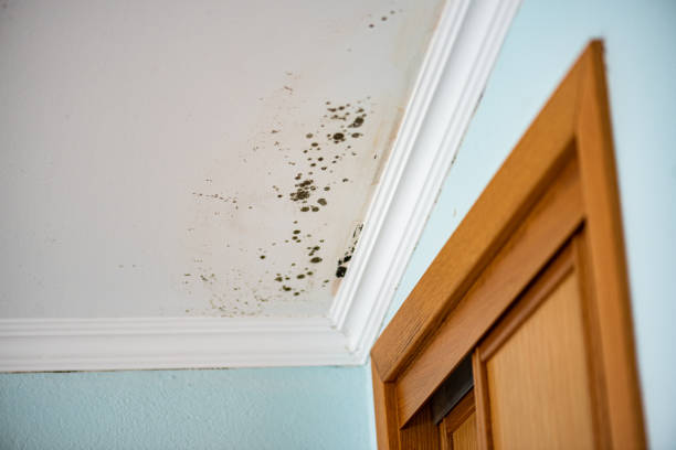 Water Damage Restoration in Gardnertown, NY